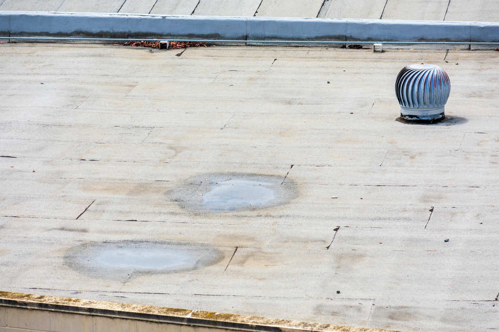 Ponding,Water,On,The,Settled,Flat,Roof.,Turbine,Vent,On Ponding,Water,On,The,Settled,Flat,Roof.,Turbine,Vent,On